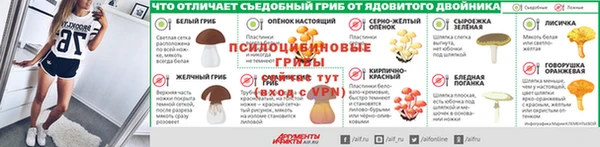 spice Аркадак