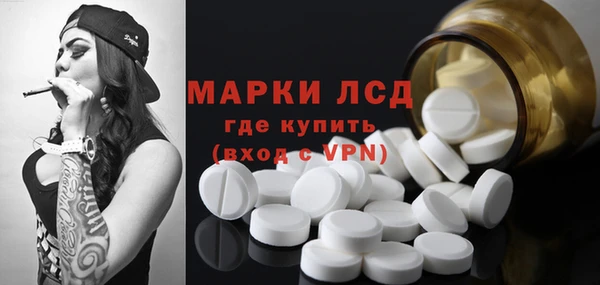 ГАЛЛЮЦИНОГЕННЫЕ ГРИБЫ Арсеньев