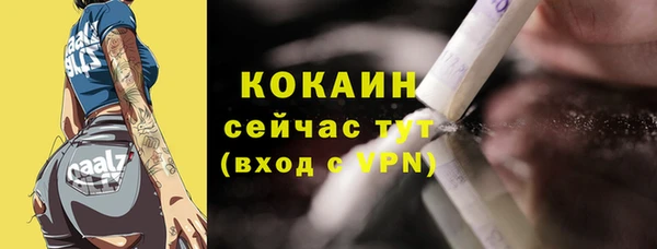 ГАЛЛЮЦИНОГЕННЫЕ ГРИБЫ Арсеньев