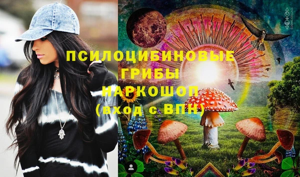 spice Аркадак