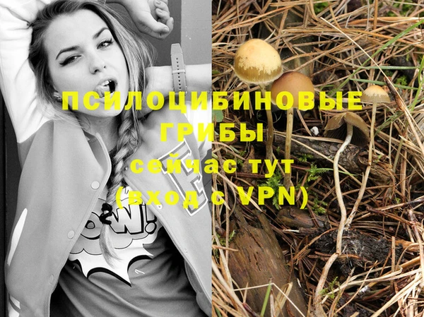 spice Аркадак