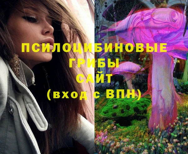 ГАЛЛЮЦИНОГЕННЫЕ ГРИБЫ Арсеньев