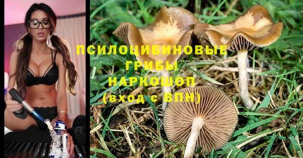 spice Аркадак