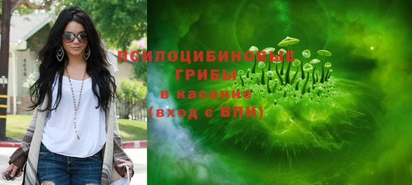spice Аркадак