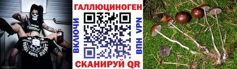 Псилоцибиновые грибы Psilocybe  площадка наркотические препараты  Артёмовский  ОМГ ОМГ вход 